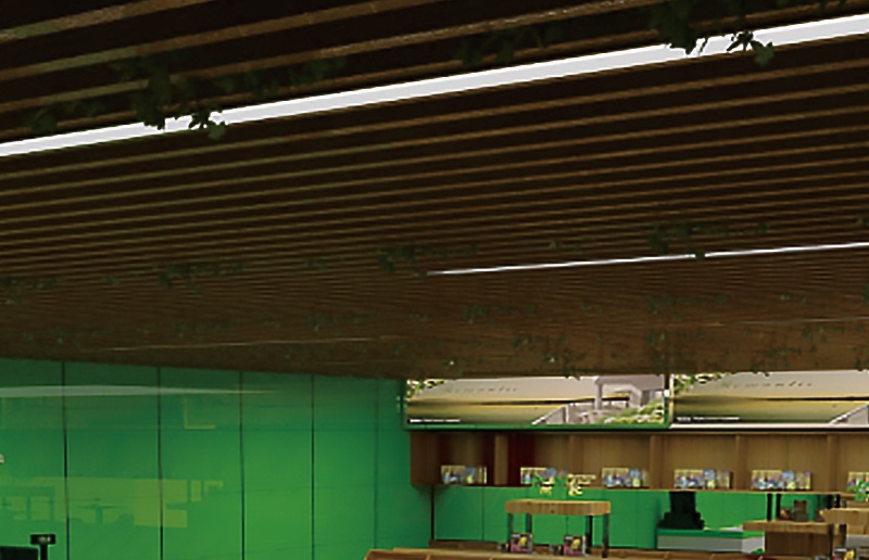 LG05BN LED Batten Batten