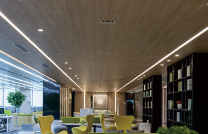 LG05V Multi-Size LED Batten Batten Batten