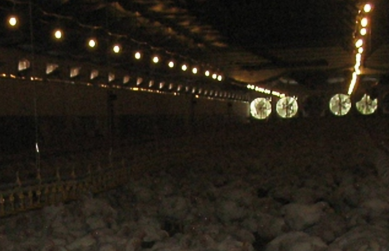 LED LED LED LED LED LED